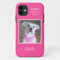 Cute Confident Dog With Soulful Eyes Forty Pink