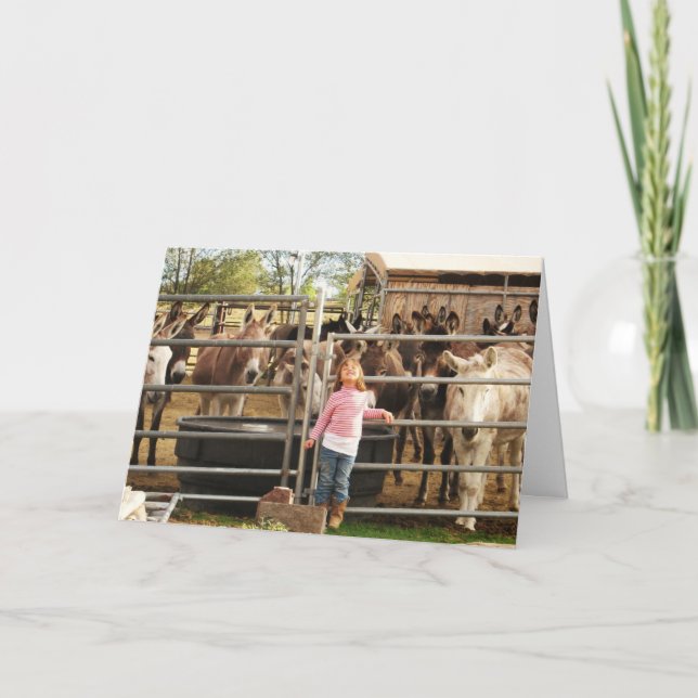 Cute Congratulations on Graduation DVM Graduate Card (Front)