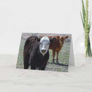 Cute Congratulations Vet Graduate - Ranch Farm DVM Card