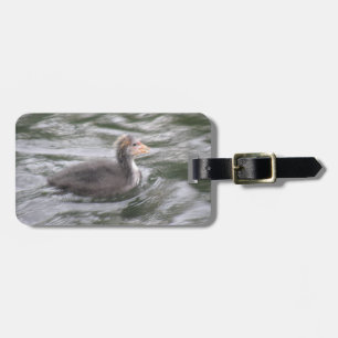 Cute Coot Chick on Choppy Water Custom Luggage Tag