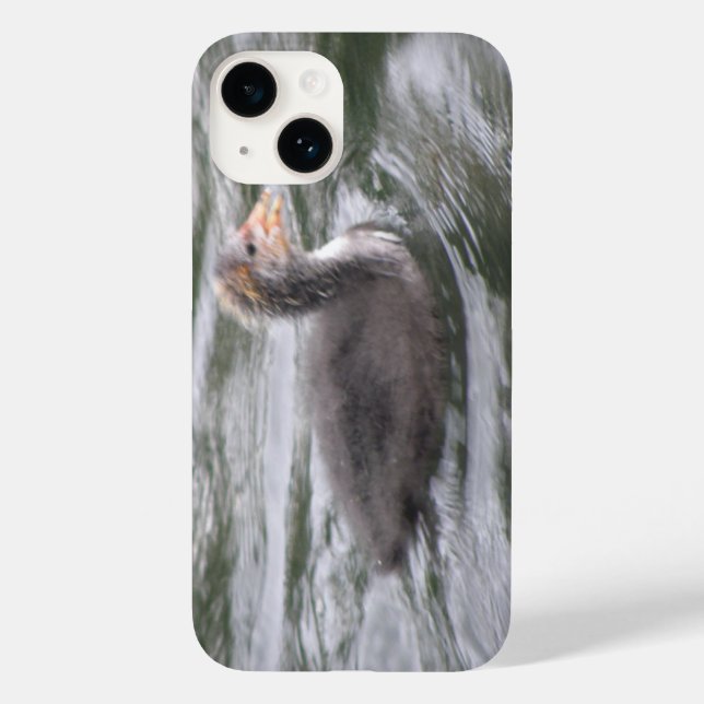 Cute Coot Chick on Choppy Waters Case-Mate iPhone Case (Back)