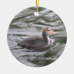 Cute Coot Chick on Choppy Waters Ornament