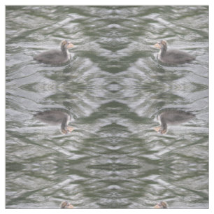 Cute Coot Chick on Choppy Waters Patterned Animal Fabric