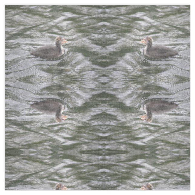 Cute Coot Chick on Choppy Waters Patterned Animal Fabric (Swatch)