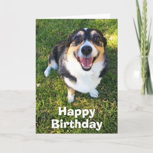 Cute Corgi Birthday Card (Front)