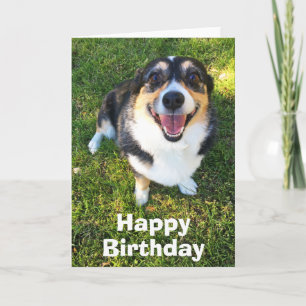 Cute Corgi Birthday Card