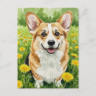 Cute Corgi Dandelions Spring Postcard