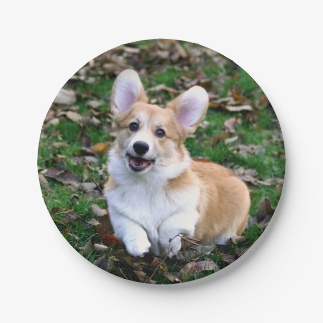 Cute Corgi Dog Leaping Paper Plate (Front)
