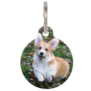 Cute Corgi Dog Leaping Pet Tag