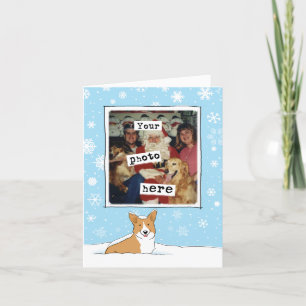 Cute Corgi in the Snow - Your Photo Christmas Holiday Card