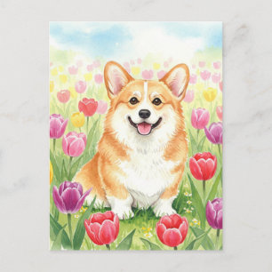 Cute Corgi in Tulips Postcard