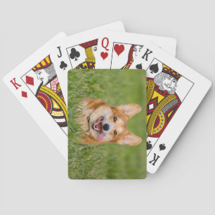 Cute Corgi Playing in the Grass Cards