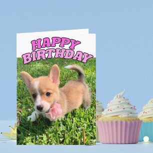 Cute Corgi Puppy Birthday Card