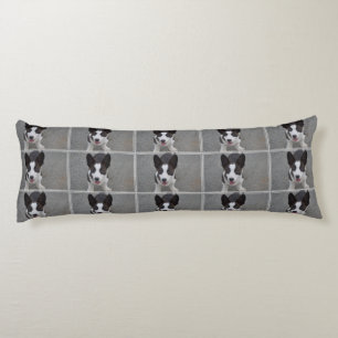Cute Corgi Puppy Body Cushion