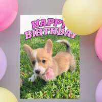 Cute Corgi Puppy Dog Photo Pink Happy Birthday