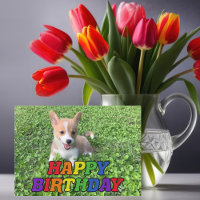 Cute Corgi Puppy Dog Photography Rainbow Birthday