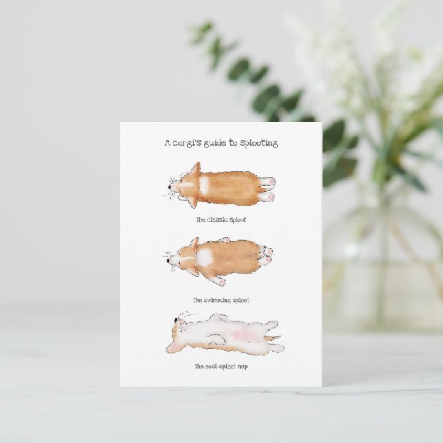 Cute corgi puppy guide to splooting postcard (Standing Front)