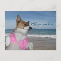 Cute Corgi Summer Vacation Wish You Were Here Card