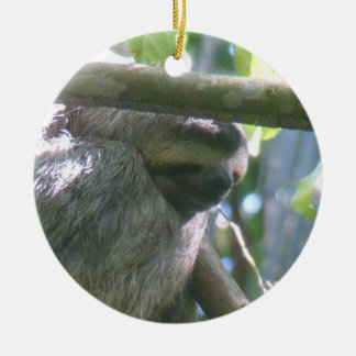 Cute Costa Rica Sloth Ornament