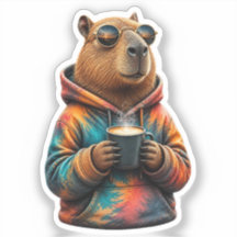 Cute Cosy Capybara Hoodie Cartoon T-Shirt