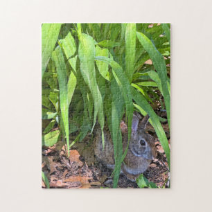 Cute Cottontail Rabbit Sitting under Tiger Lily Jigsaw Puzzle