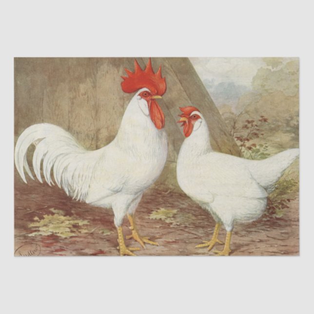 Cute Country vintage rooster hen party Tissue Paper (Front)