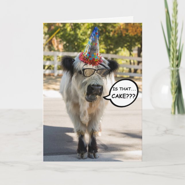 Cute Cow Birthday Card (Front)