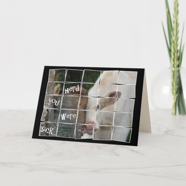 Cute cow for Get Well Card (Front)