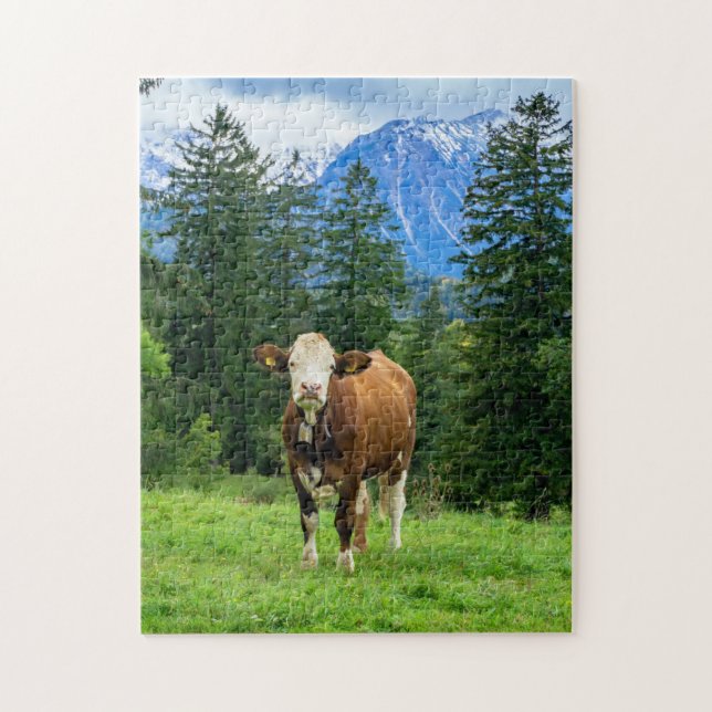Cute cow in the pasture, photography jigsaw puzzle (Vertical)