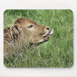CUTE COW MOUSE PAD