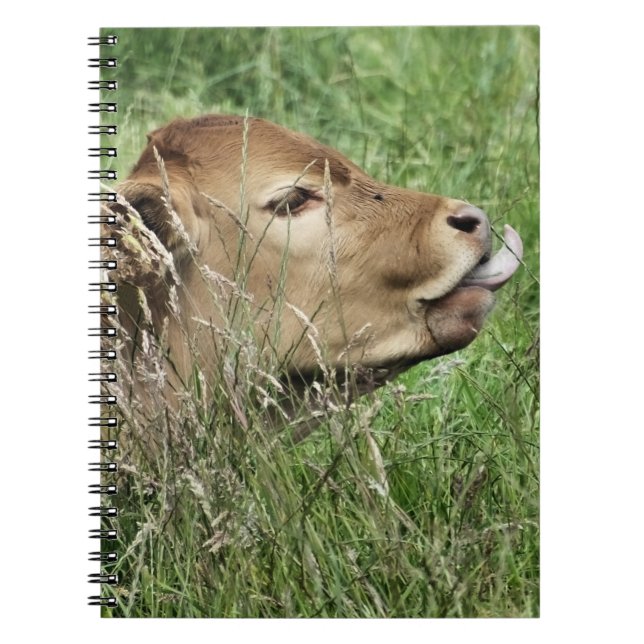 CUTE COW NOTEBOOK (Front)