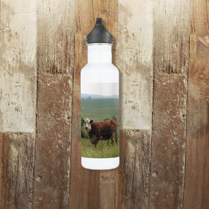 Cute Cow on the Farm with Pretty Background 710 Ml Water Bottle