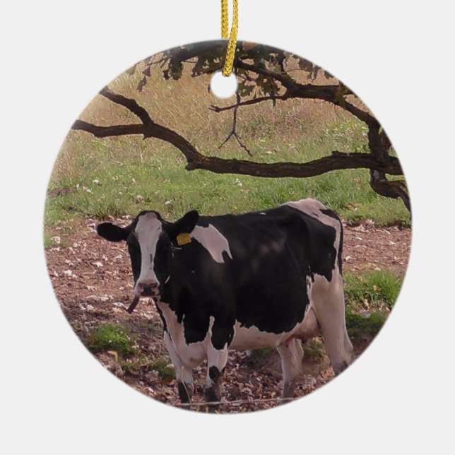 Cute Cow under Tree Country Christmas Ceramic Ornament (Front)