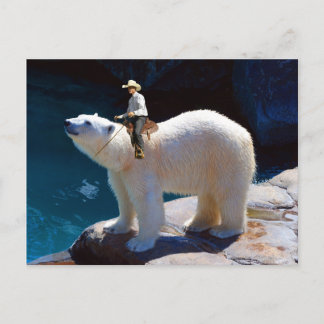 Cute Cowboy Postcard