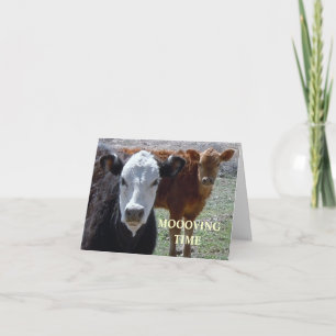 Cute Cows - Western Change of Address Announcement