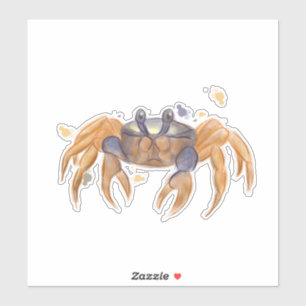 Cute crab drawing