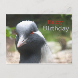 Cute Crane Happy Birthday Postcard