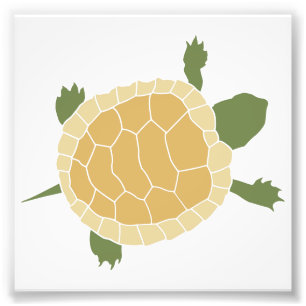 Cute Crawling Little Turtle Tortoise Photo Print