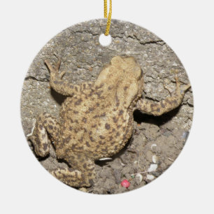 Cute Crawling Toad Custom Birthday Ceramic Ornament