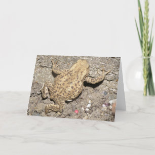 Cute Crawling Toad Greeting Card
