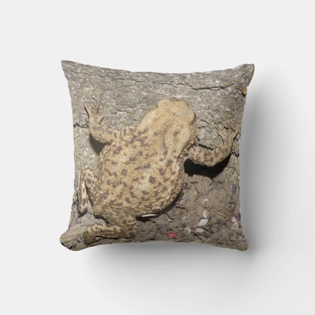 Cute Crawling Toad Pillow (Front)