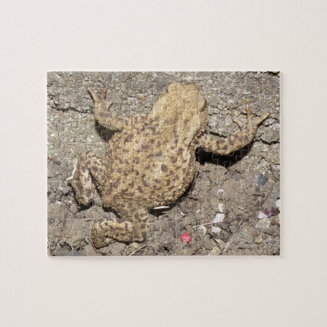 Cute Crawling Toad Puzzle (Horizontal)