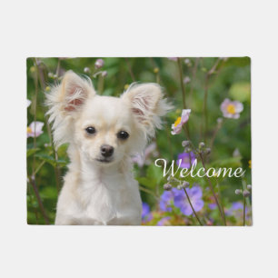 Cute cream Chihuahua Dog Puppy Pet Photo - Welcome Doormat