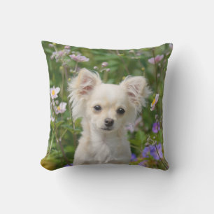 Cute cream Chihuahua Dog Puppy Photo for Outside Outdoor Cushion