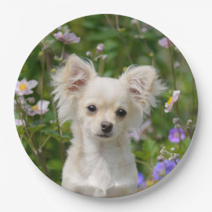 Cute cream Chihuahua Dog Puppy Photo - Happy Party Paper Plate