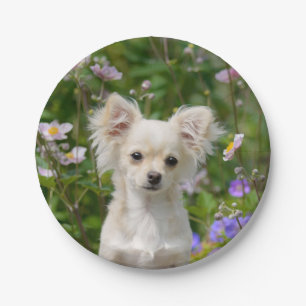 Cute cream Chihuahua Dog Puppy Photo - party Paper Plate