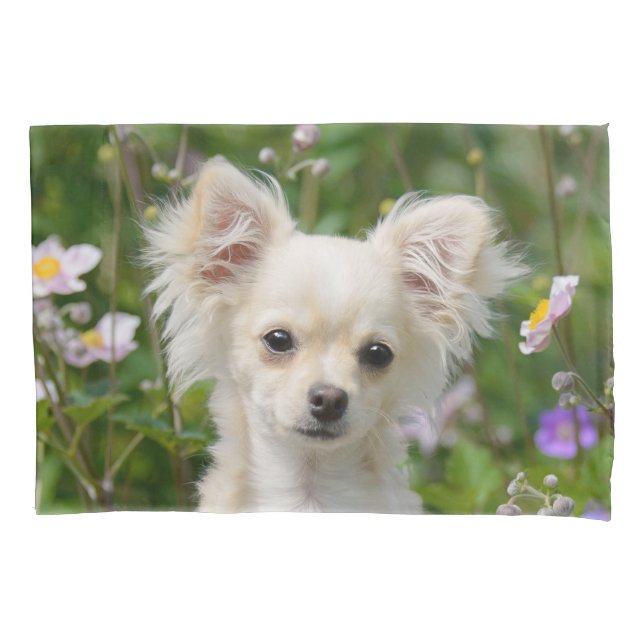 Cute cream Chihuahua Dog Puppy Portrait Photo - Pillowcase (Front)