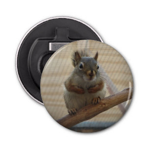 Cute Crouching Squirrel on Branch Bottle Opener