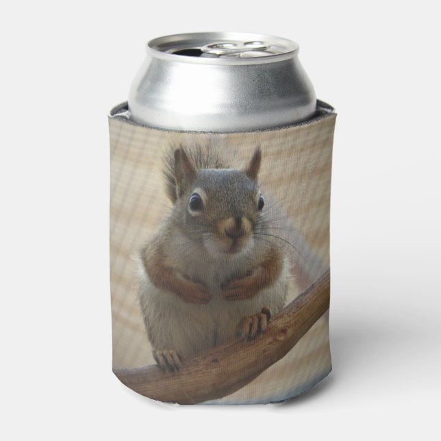 Cute Crouching Squirrel on Branch Can Cooler (Can Front)