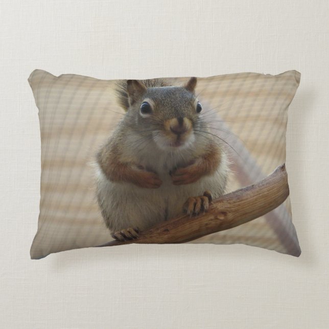 Cute Crouching Squirrel on Branch Decorative Cushion (Front)